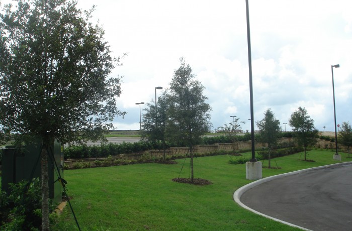 Commercial Landscape 7
