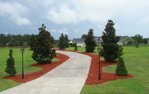 Residential Landscape 9