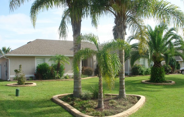 Residential Landscape 10