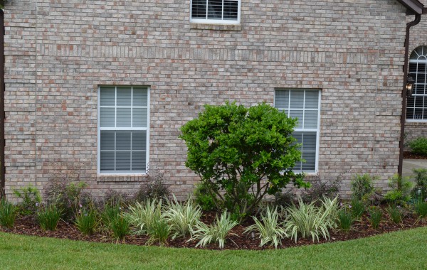 Residential Landscape 8